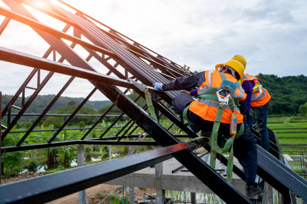 Roof Gutter Cleaning in Colfax, WI